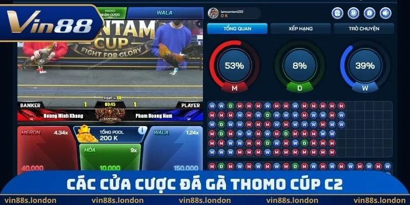 Các cửa cược đá gà Thomo cúp C2