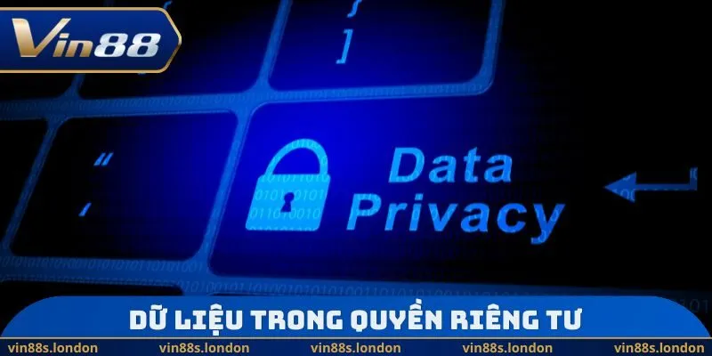 Dữ liệu trong quyền riêng tư