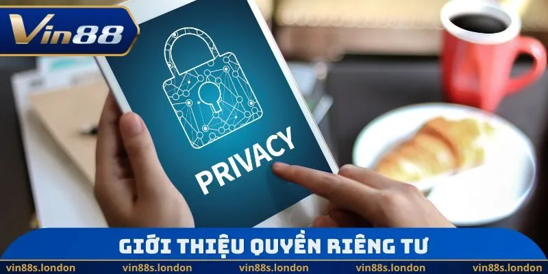 Giới thiệu quyền riêng tư