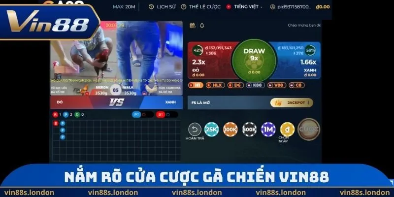 Nắm rõ cửa cược gà chiến Vin88